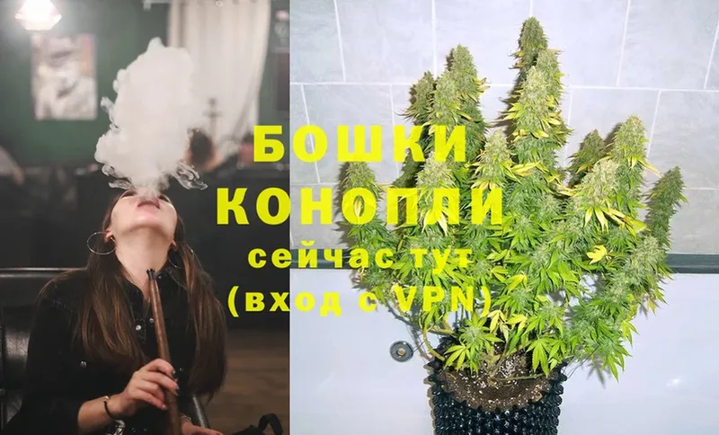 Шишки марихуана White Widow  где купить   Апшеронск 